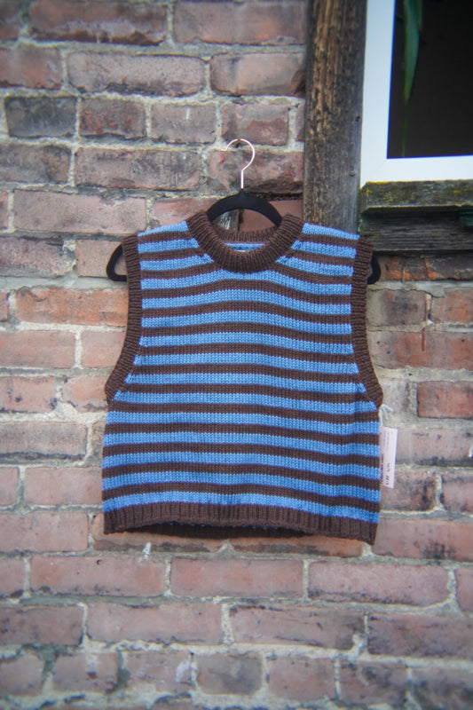 blue/brown sweater vest