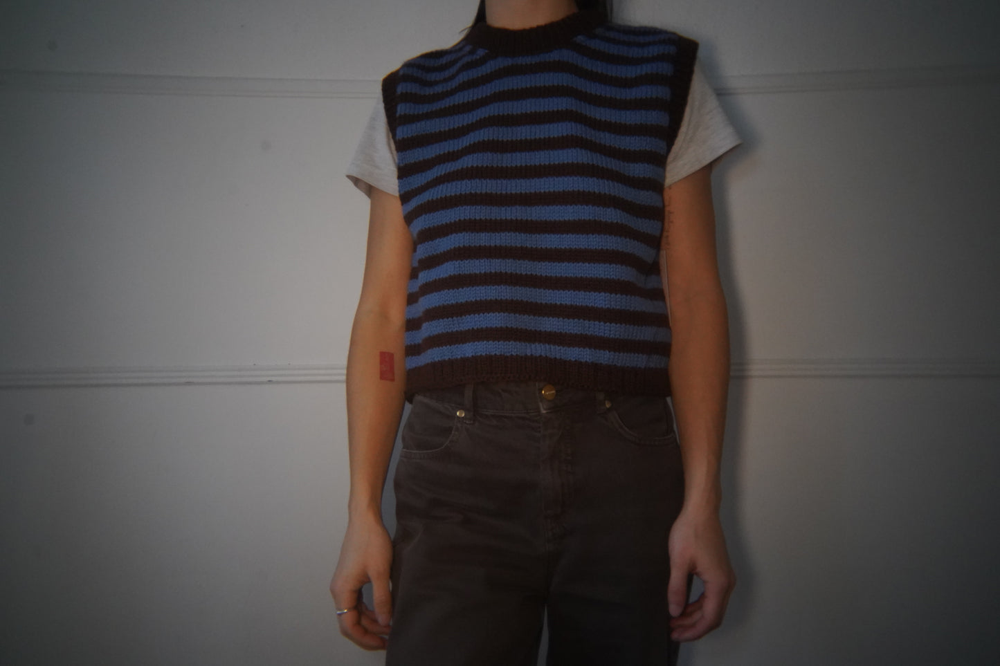 blue/brown sweater vest