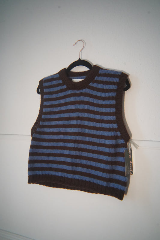 blue/brown sweater vest