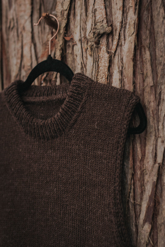 chocolate brown sweater vest